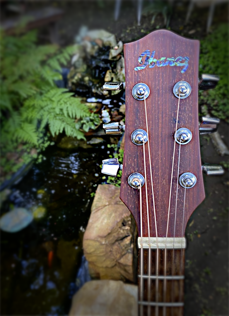 Ibanez Acoustic Guitar