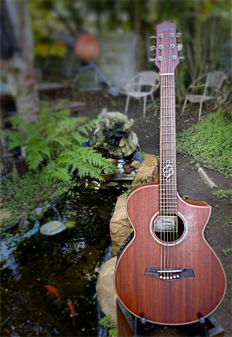 Ibanez Acoustic Guitar