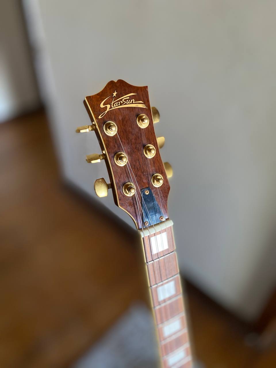 Semi-Hollow Electric Guitar