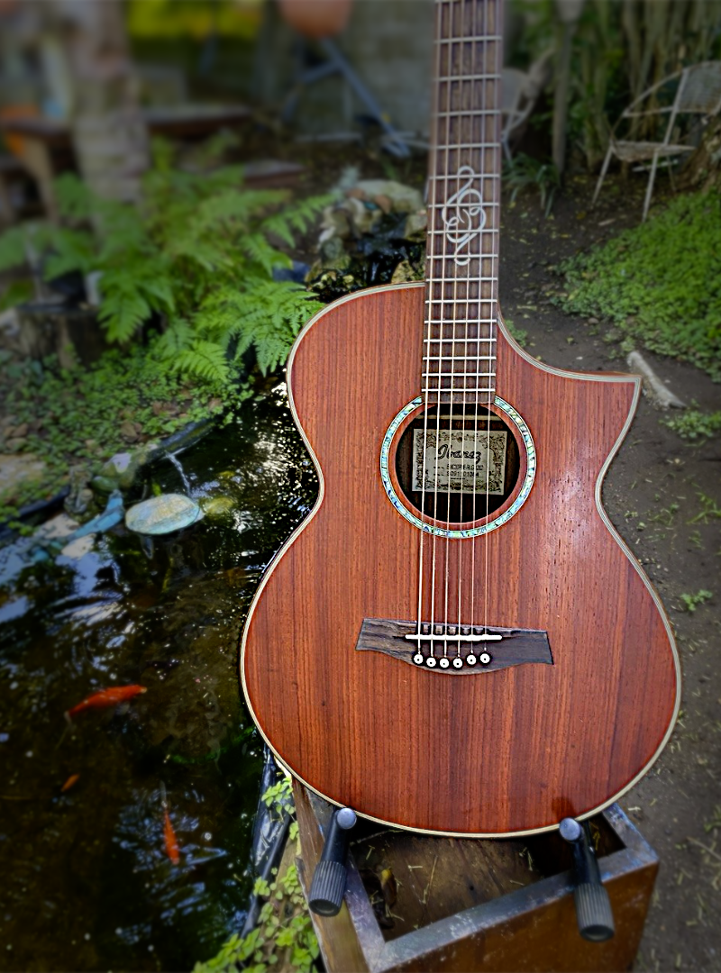 Ibanez Acoustic Guitar