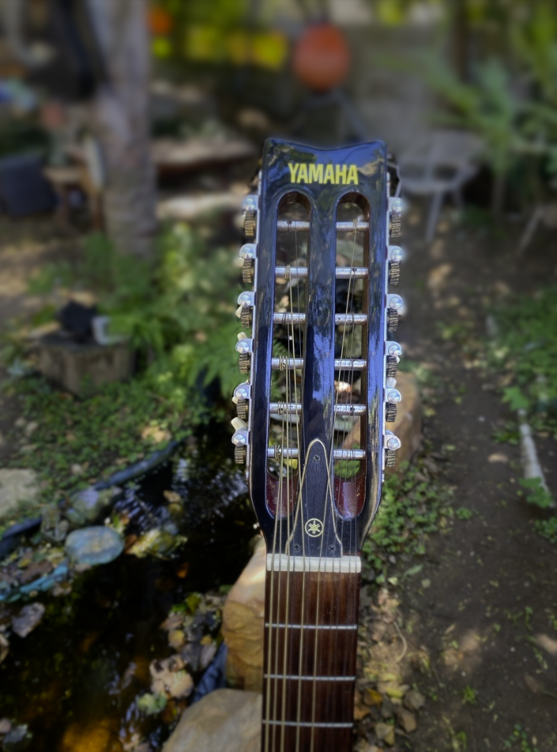 Yamaha 12-String Acoustic Guitar
