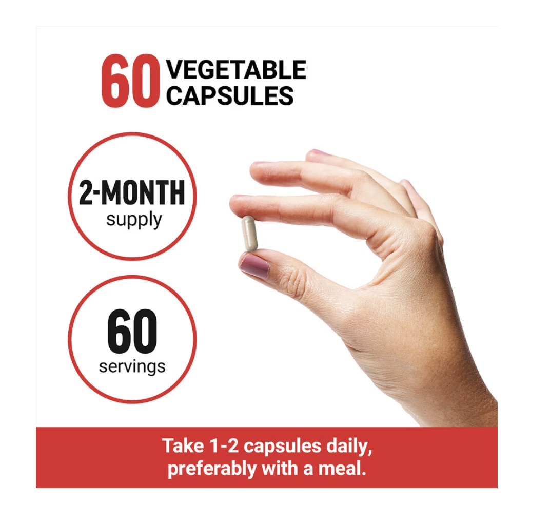 Suplemento Hongo Melena De León 500mg 60 Cápsulas