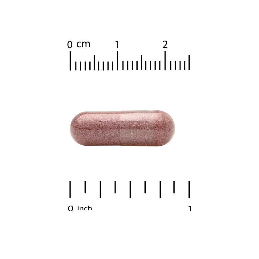 Complejo De Resveratrol Con Extracto De Semilla De Uva Extracto De Vino Tinto Y Trans-resveratrol 500mg 60 Cápsulas 60 Servicios Sin Sabor