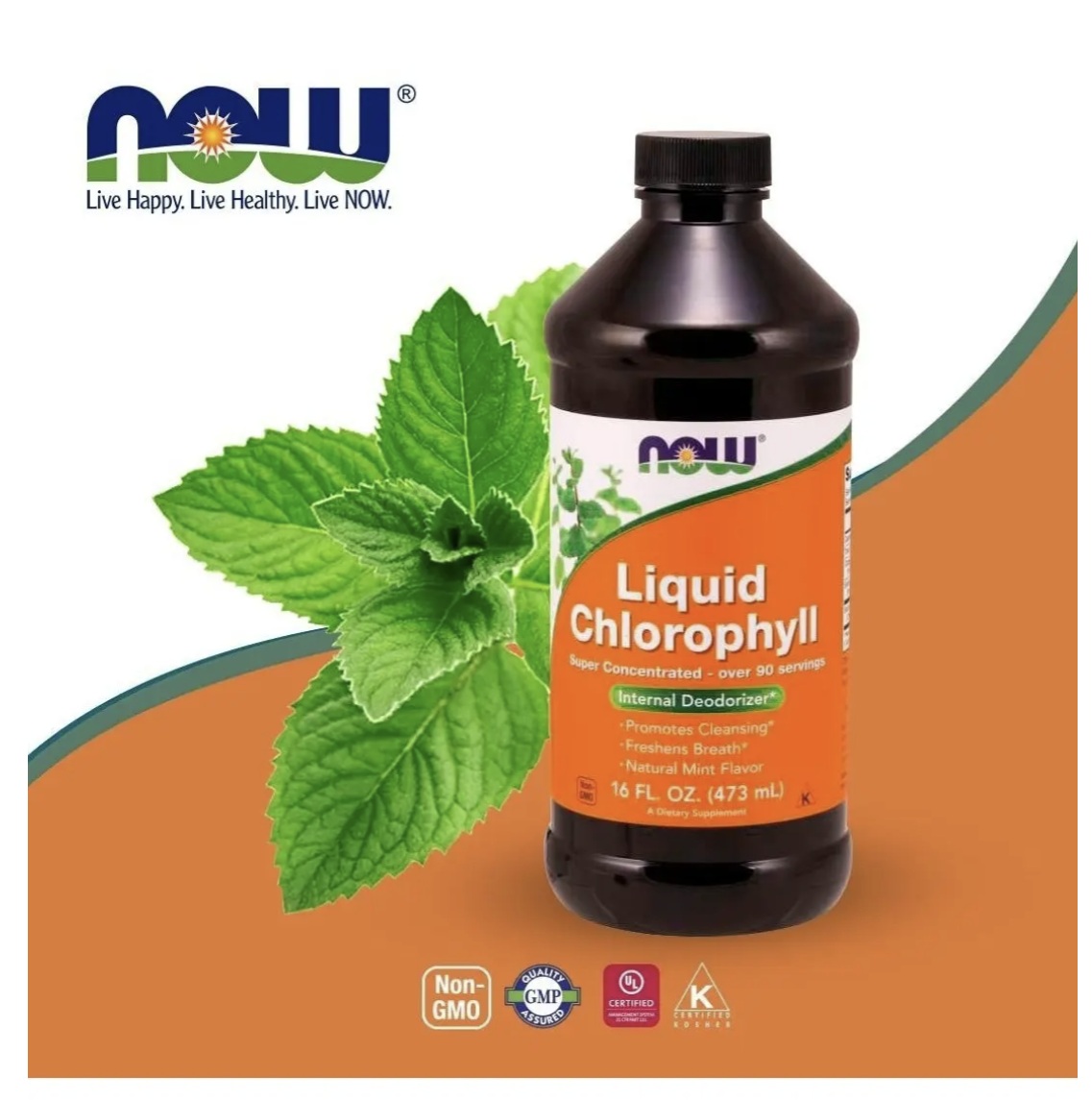 Clorofila Líquida Sabor Natural A Menta 473 Ml 95 Servicios