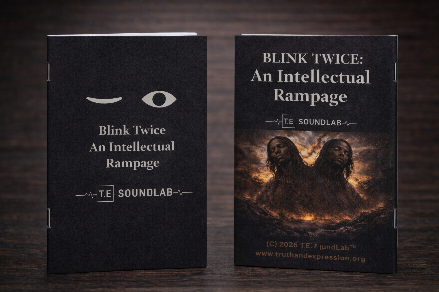 Blink Twice:An Intellectual Rampage 