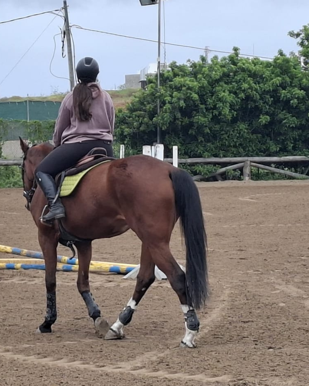Reserva tu Clase de Prueba