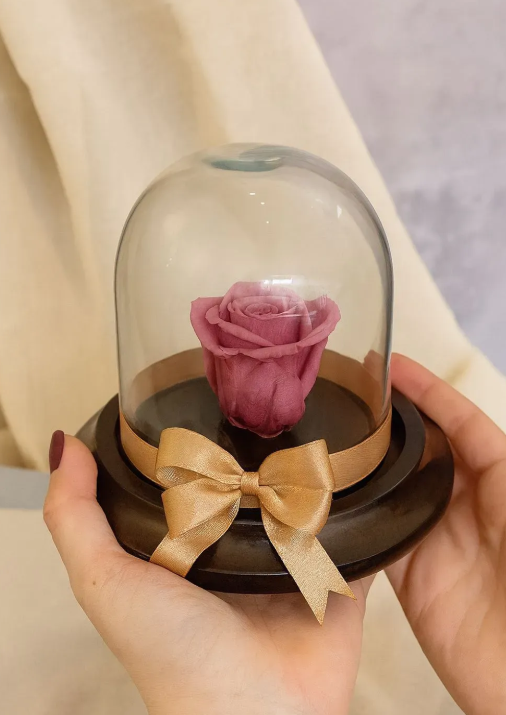 Rosa eterna en cúpula