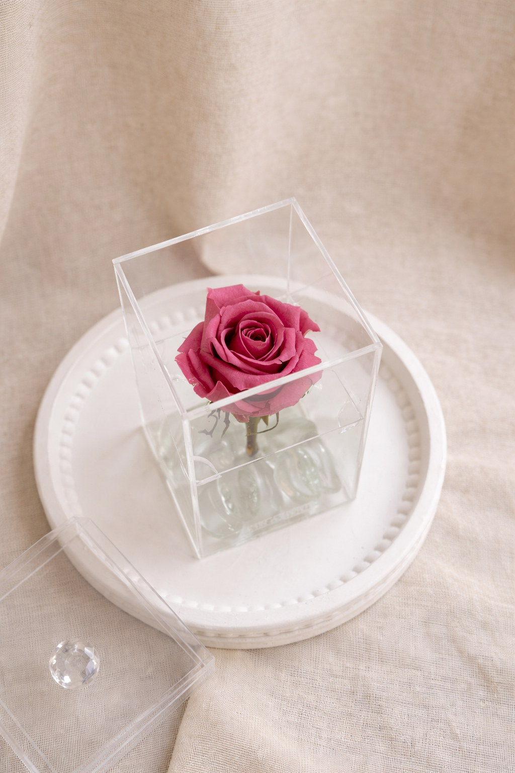 Rosa Preservada en Caja Acrílica