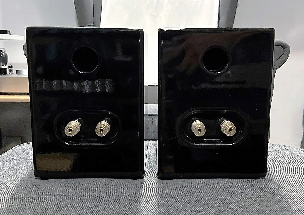 AKISUI 4" Full Range Speaker