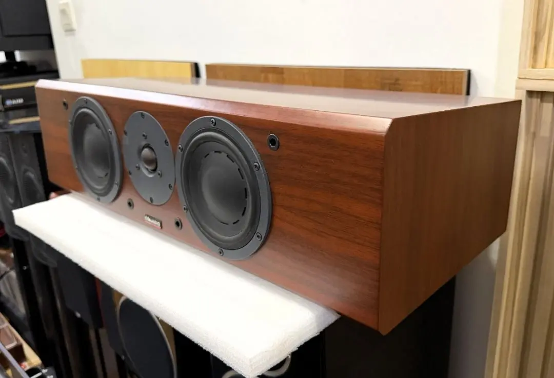Dynaudio Focus 200C Center Channel Speaker – Audiophile Performance