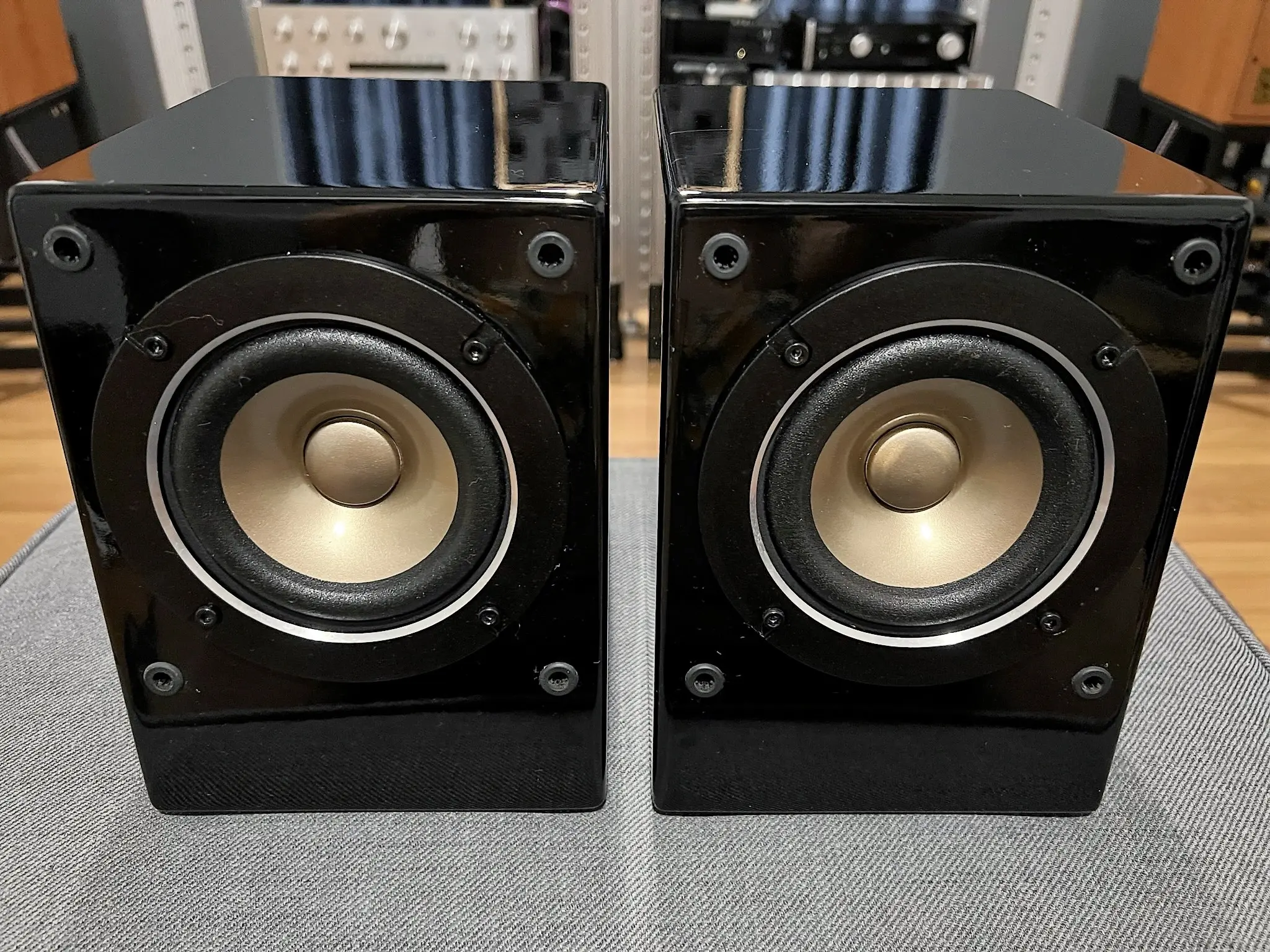 AKISUI 4" Full Range Speaker