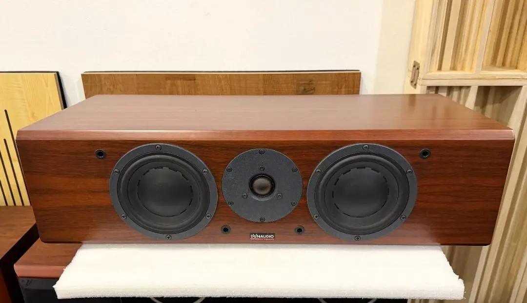 Dynaudio Focus 200C Center Channel Speaker – Audiophile Performance