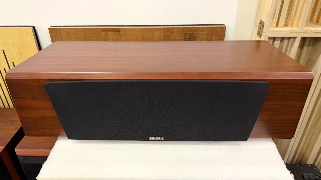 Dynaudio Focus 200C Center Channel Speaker – Audiophile Performance