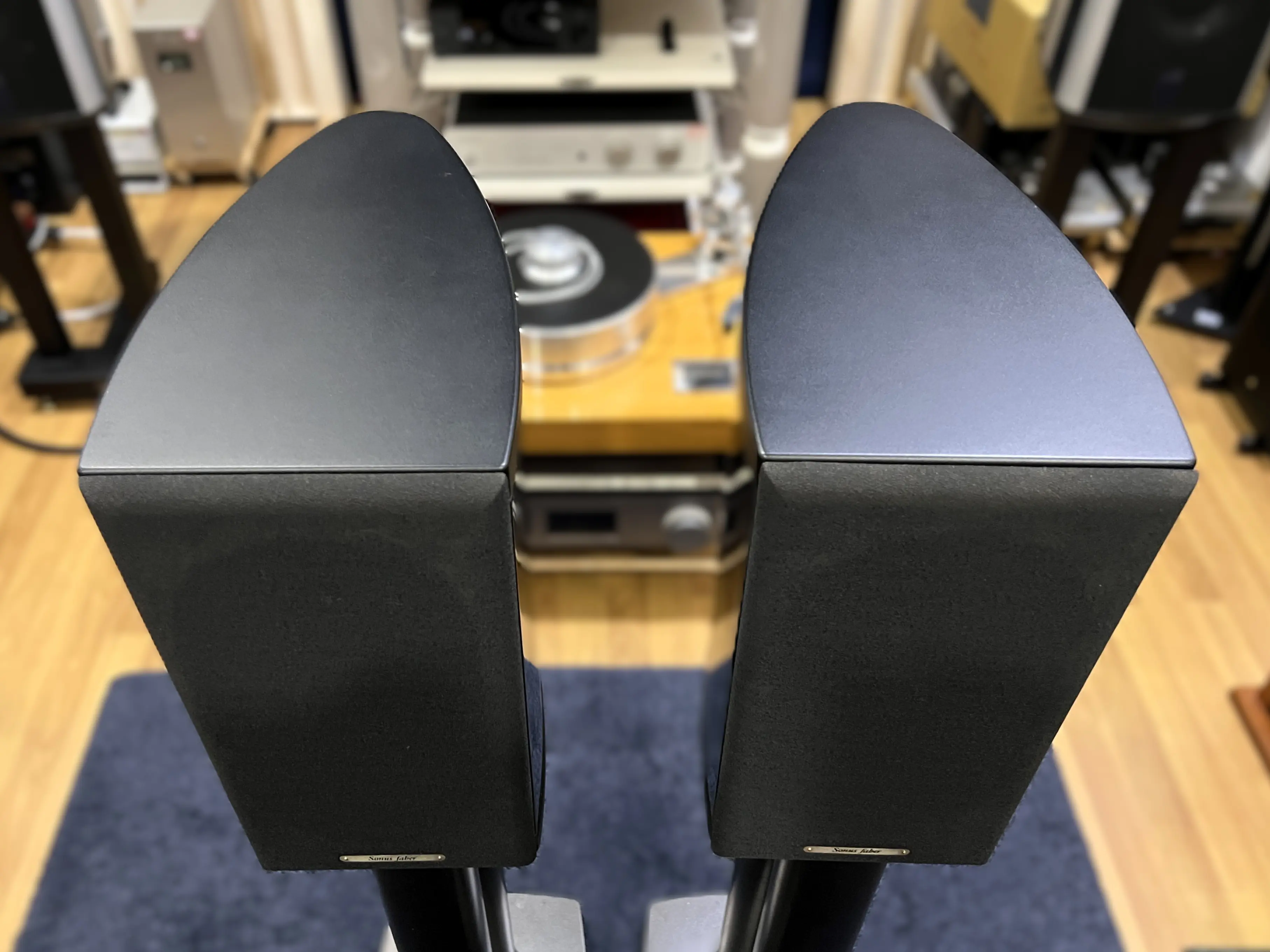 Sonus Faber Liuto Bookshelf Speaker – Black (Good Condition)