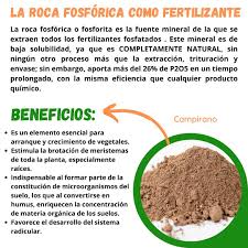 Roca Fosforica