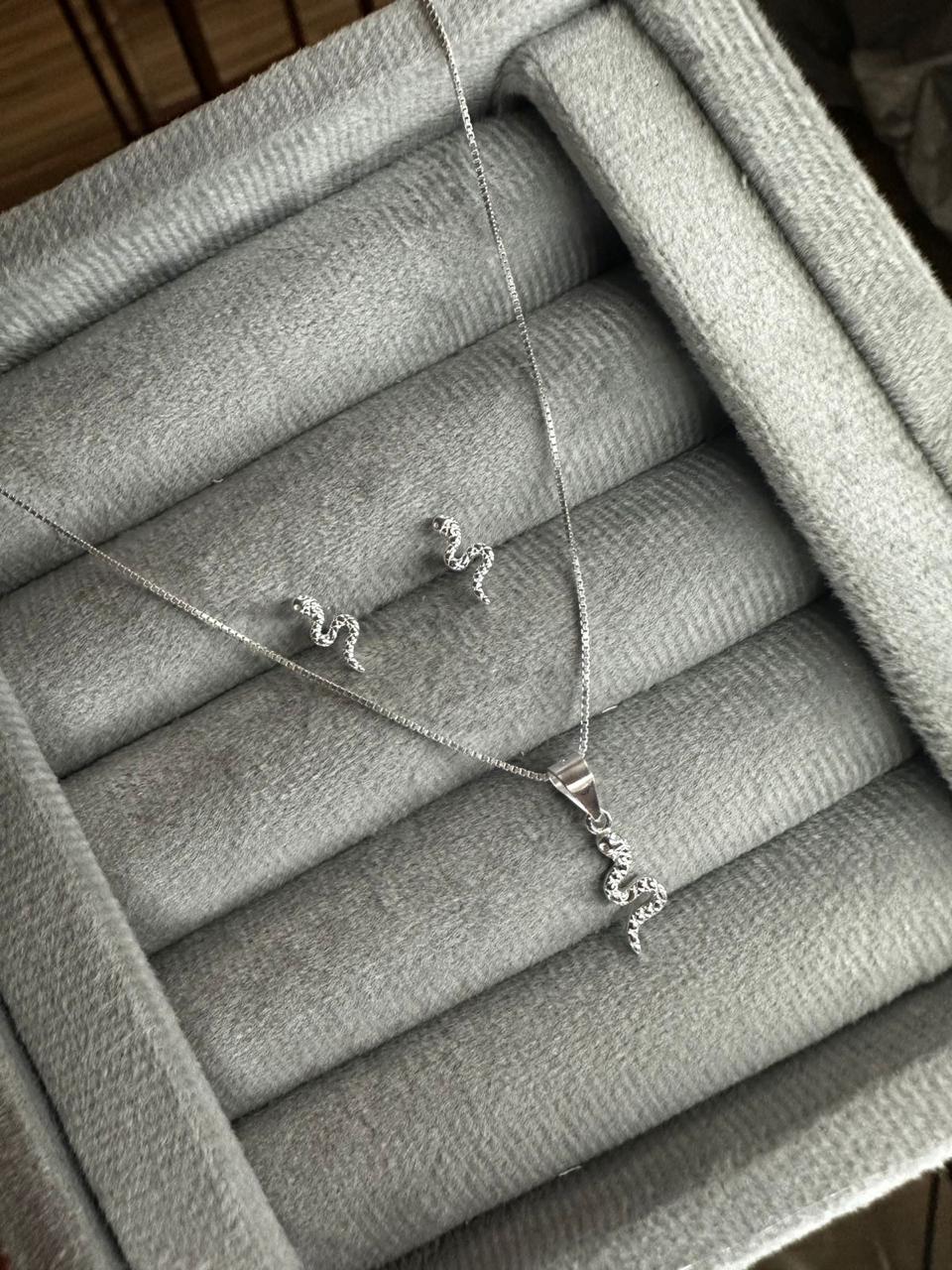 Conjunto Cobra Com Detalhes