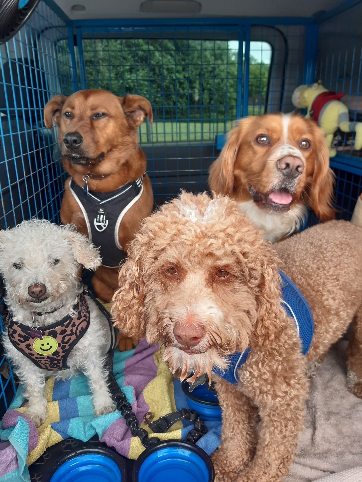 Walk prices and more information