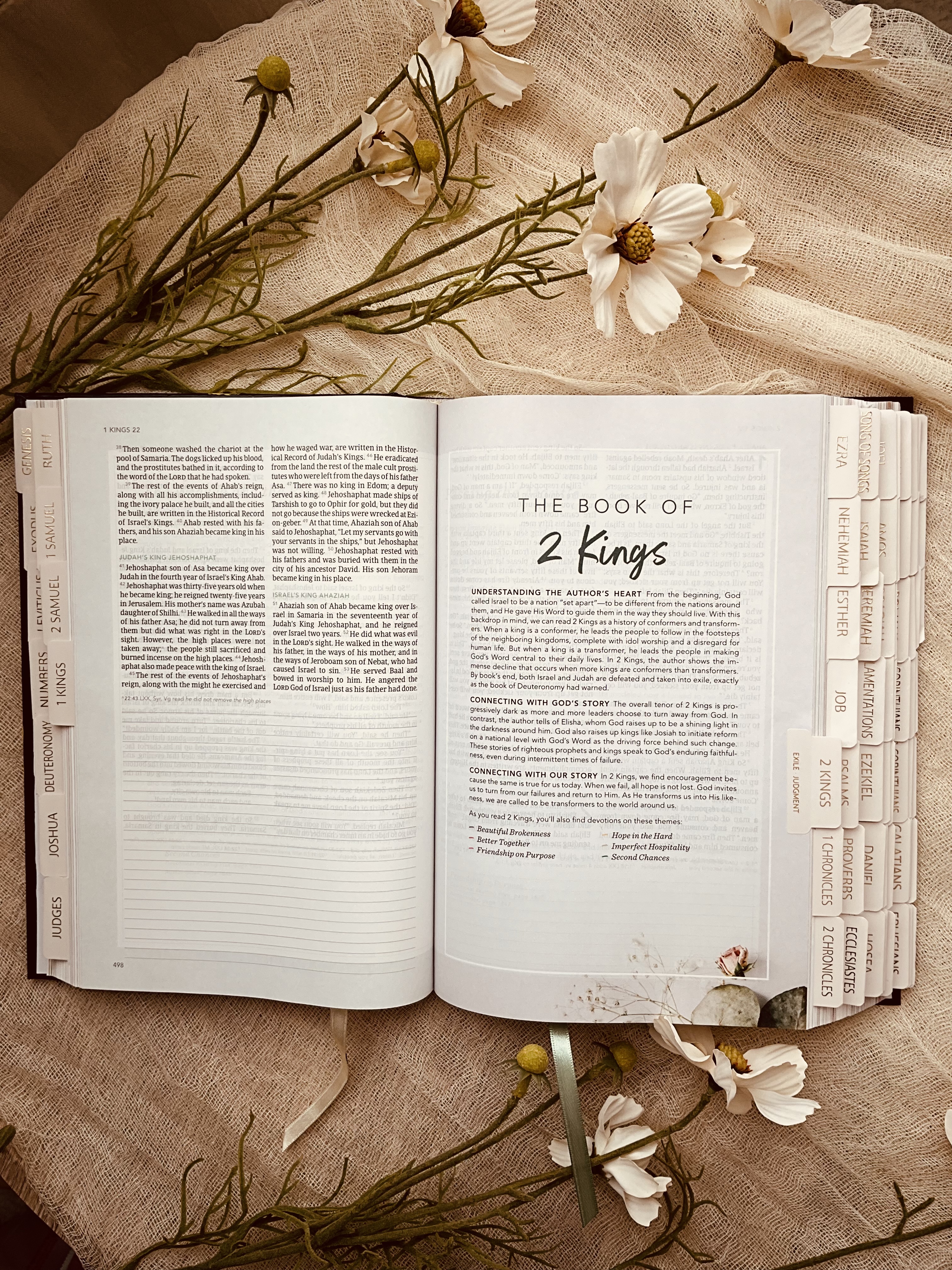 CUSTOM / PERSONALIZED Hand-Painted Bible with Tabs