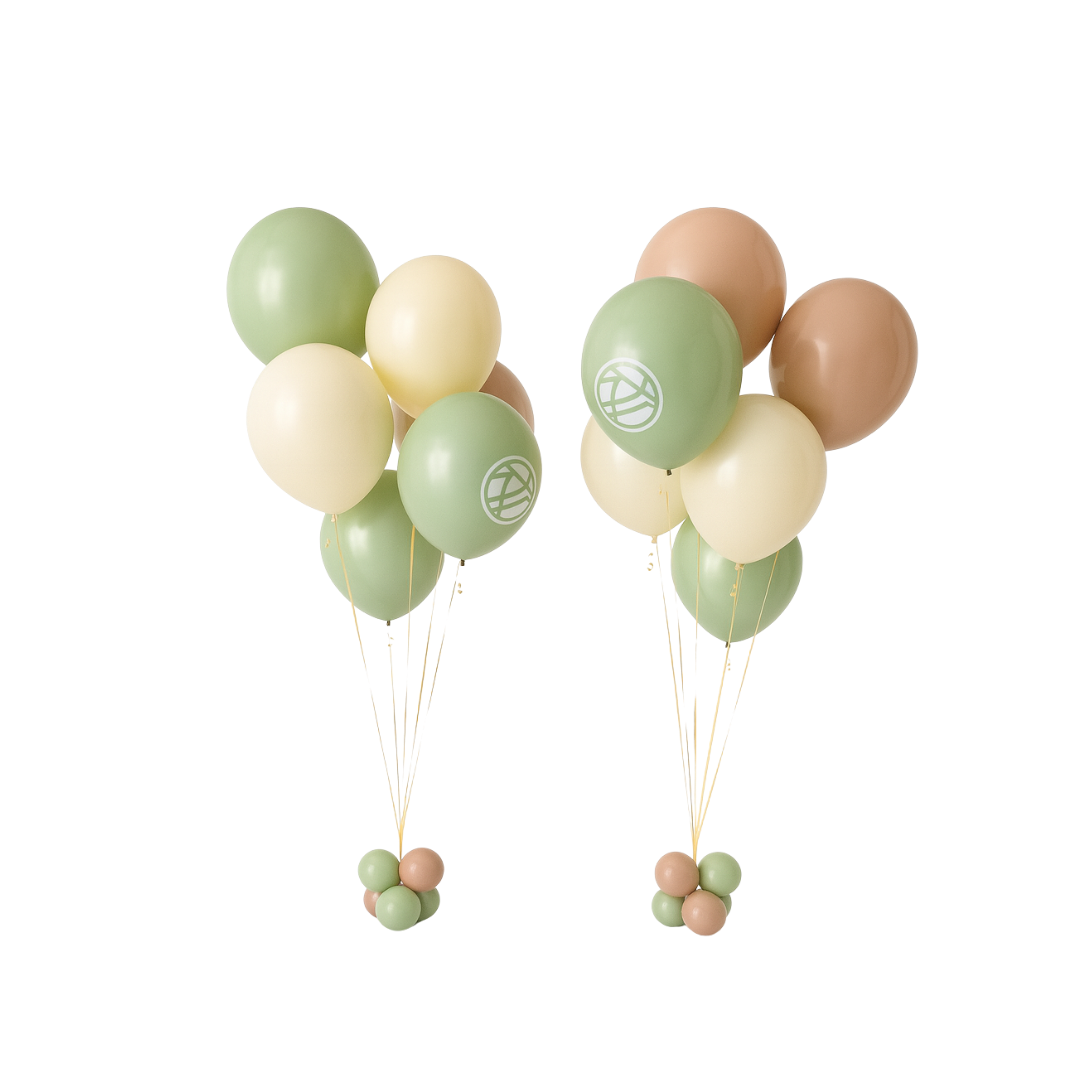 6 x 17" Helium Filled Balloons