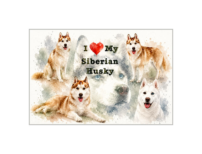 Siberian Husky Art Poster