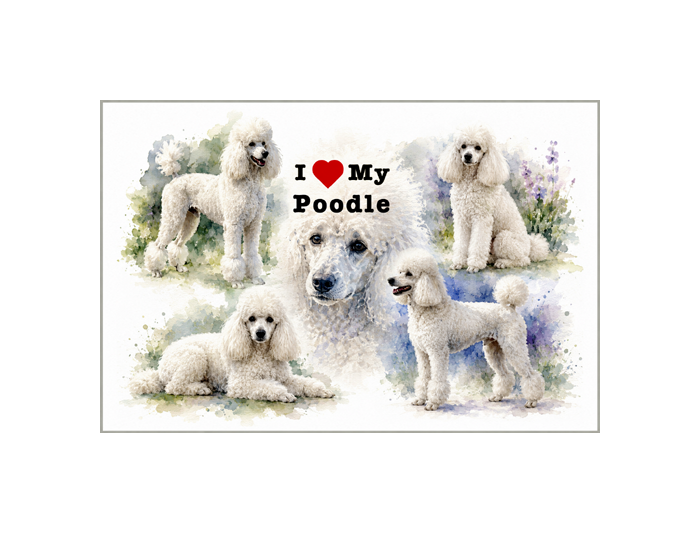 I Love My Poodle Poster