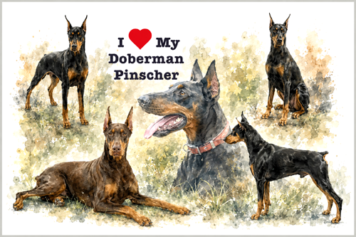 Doberman Pinscher Art Print