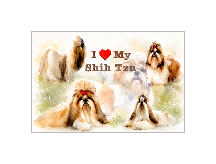 I Love My Shih Tzu Poster