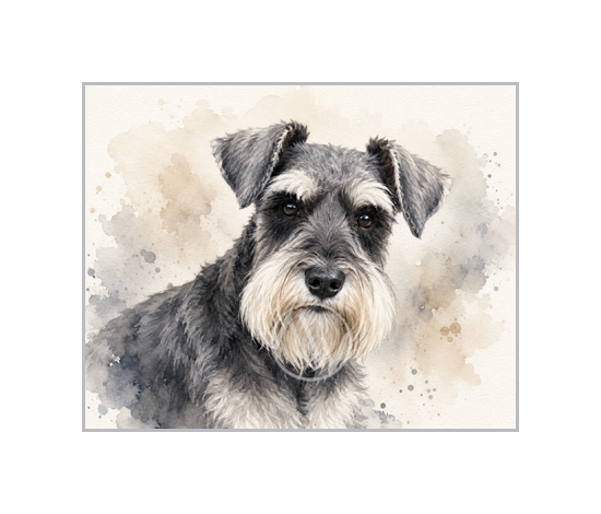 Schnauzer Dog Watercolor Print