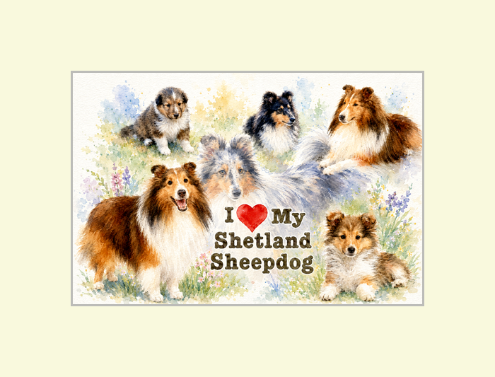 Shetland Sheepdog Art Poster
