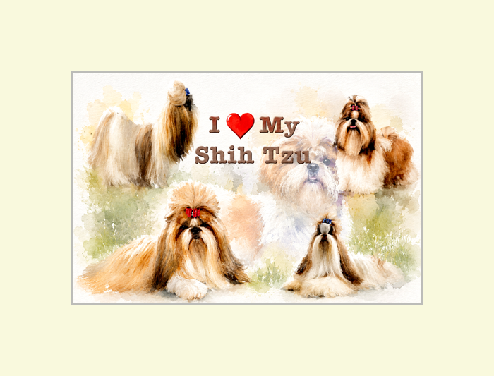 I Love My Shih Tzu Poster