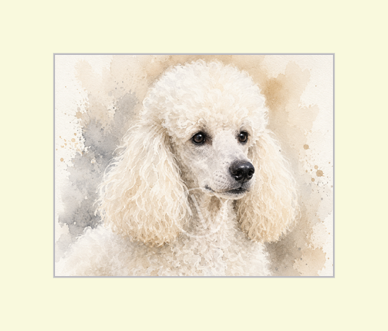 Elegant Poodle Art Print