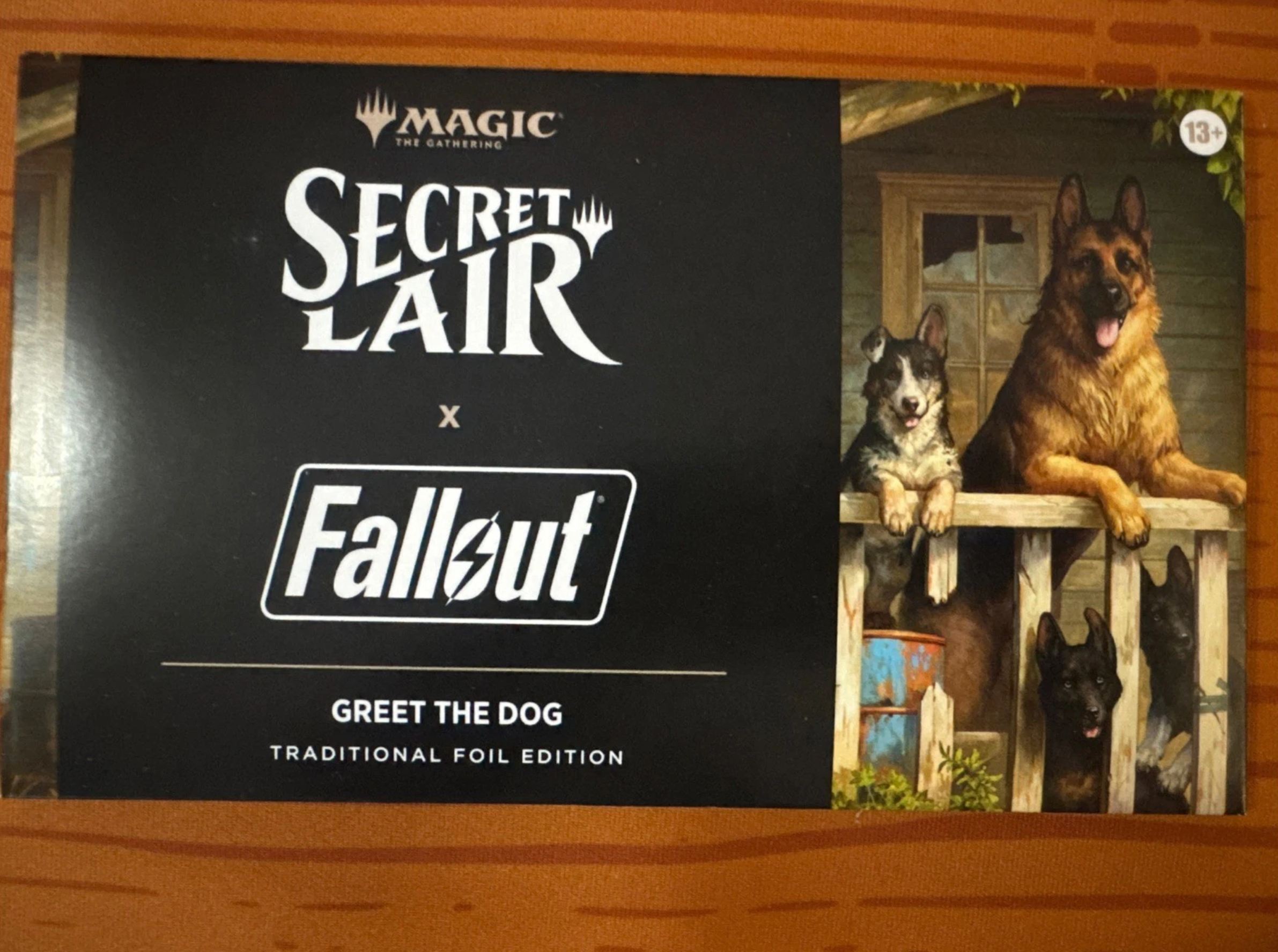Secret Lair x Fallout®: Greet the Dog​
