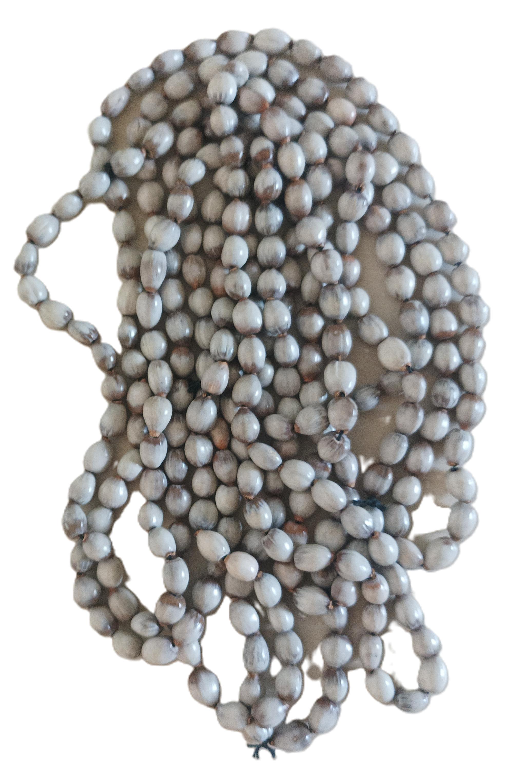 Collier de graines de Job