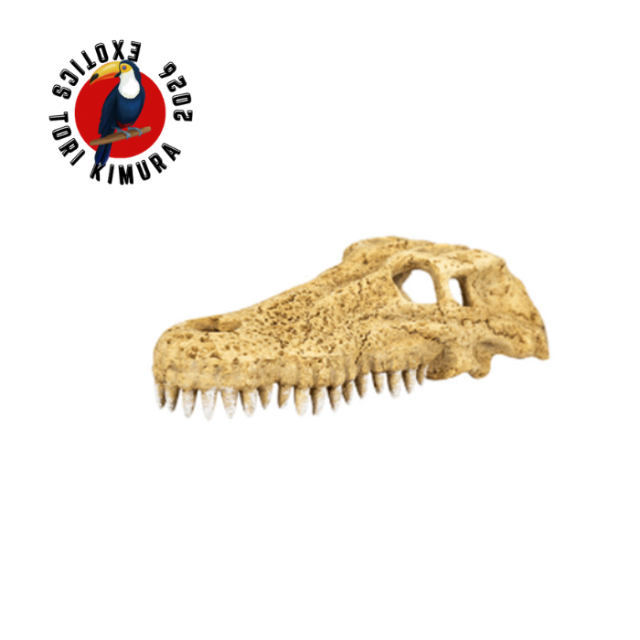 CAVERNA DE COCODRILO DE  29X14.5X8 CM (TALLA L)