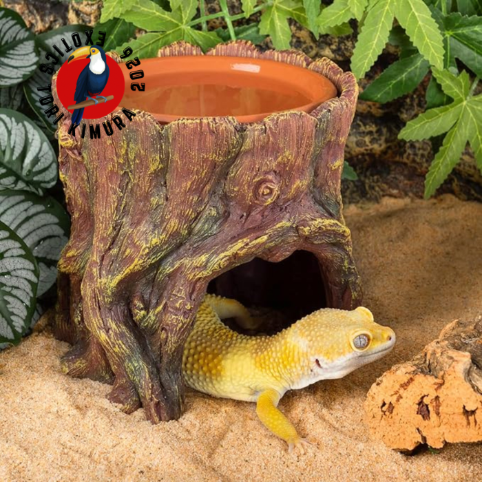 HUMIFICADOR DE ARBOL / BEBEDERO DE CERÁMICA Y CUEVA