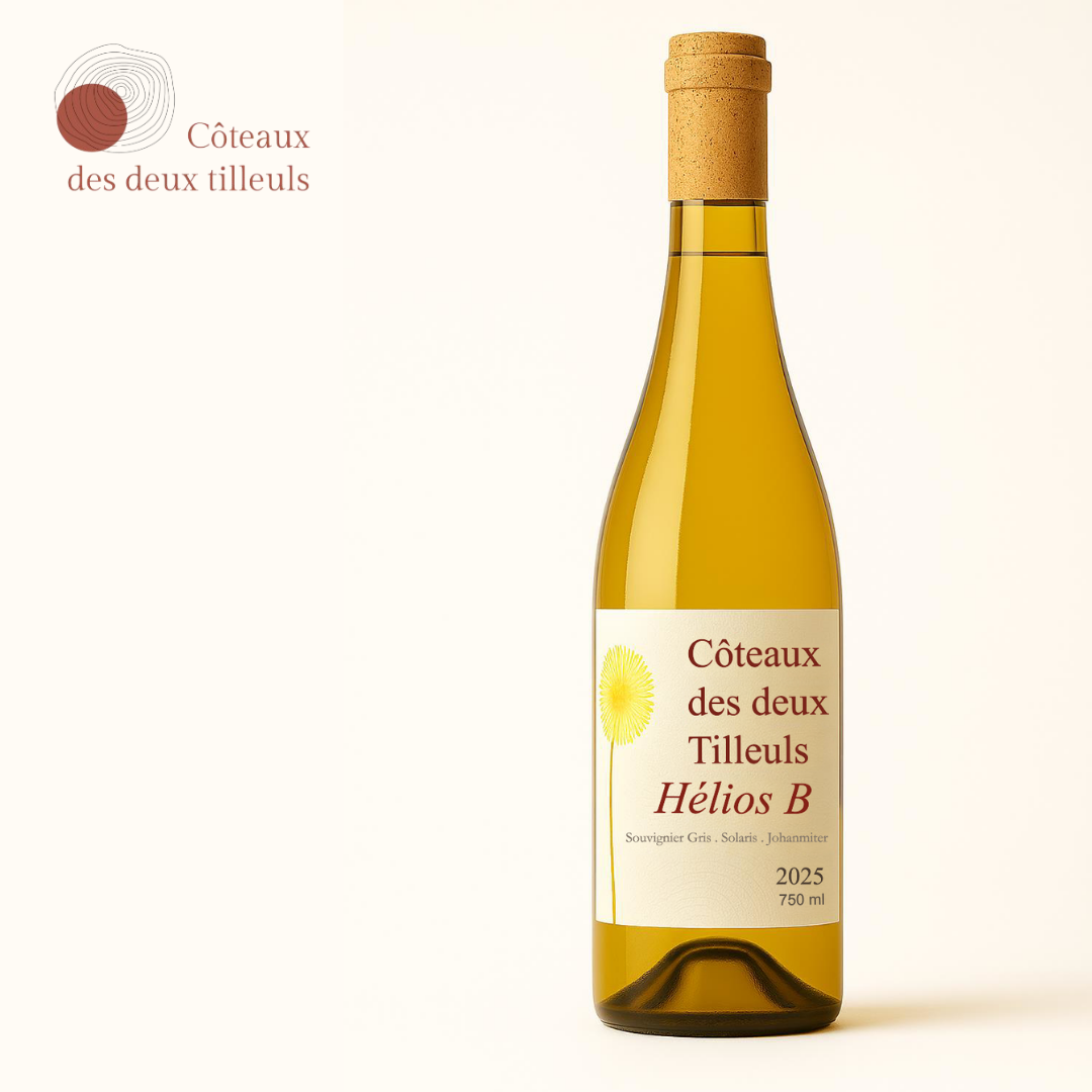 Hélios B : Passage en barrique