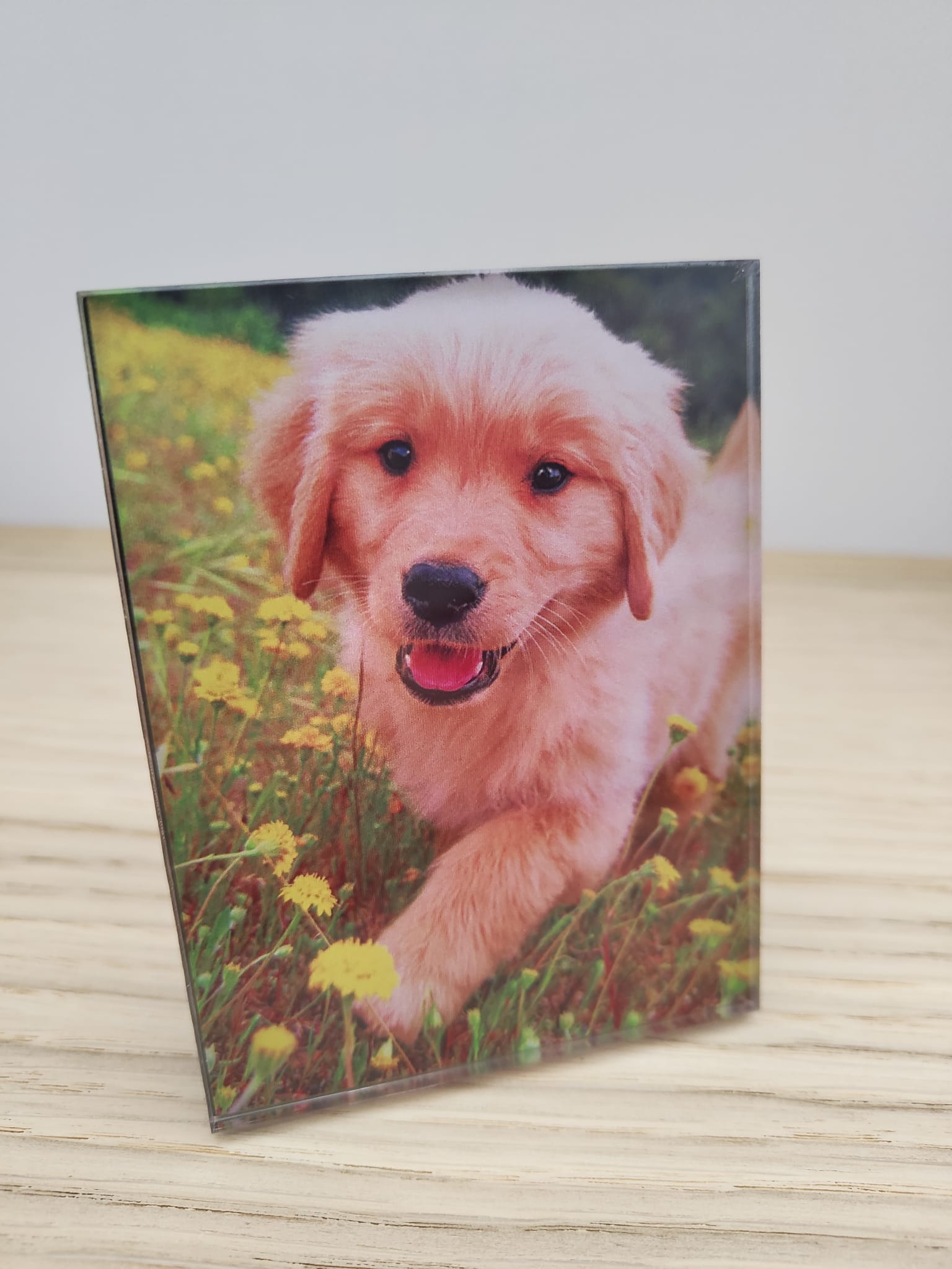 Acrylic Photo Freestand plaque, desk, office, shelf Decoration, UV printed