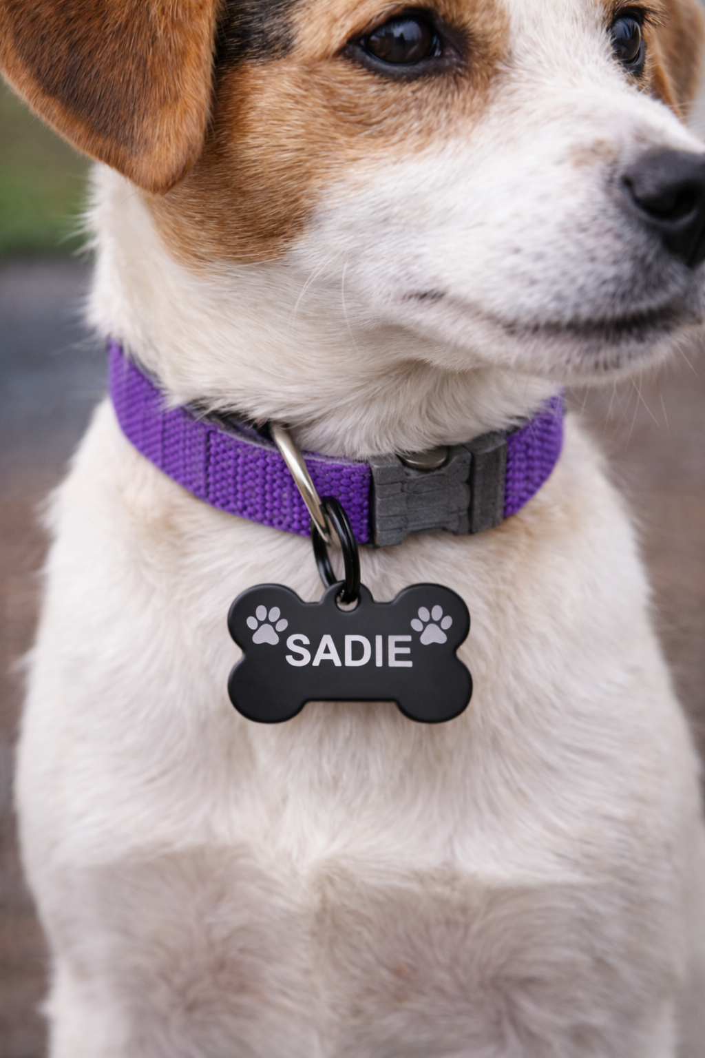 Personalised Dog Tag Bone Shape | Custom Engraved Pet ID Tag | Name Tag for Dogs | Engraved Metal Tag