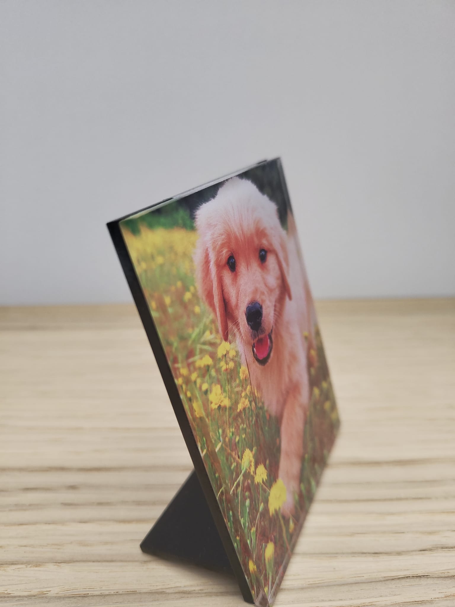 Acrylic Photo Freestand plaque, desk, office, shelf Decoration, UV printed