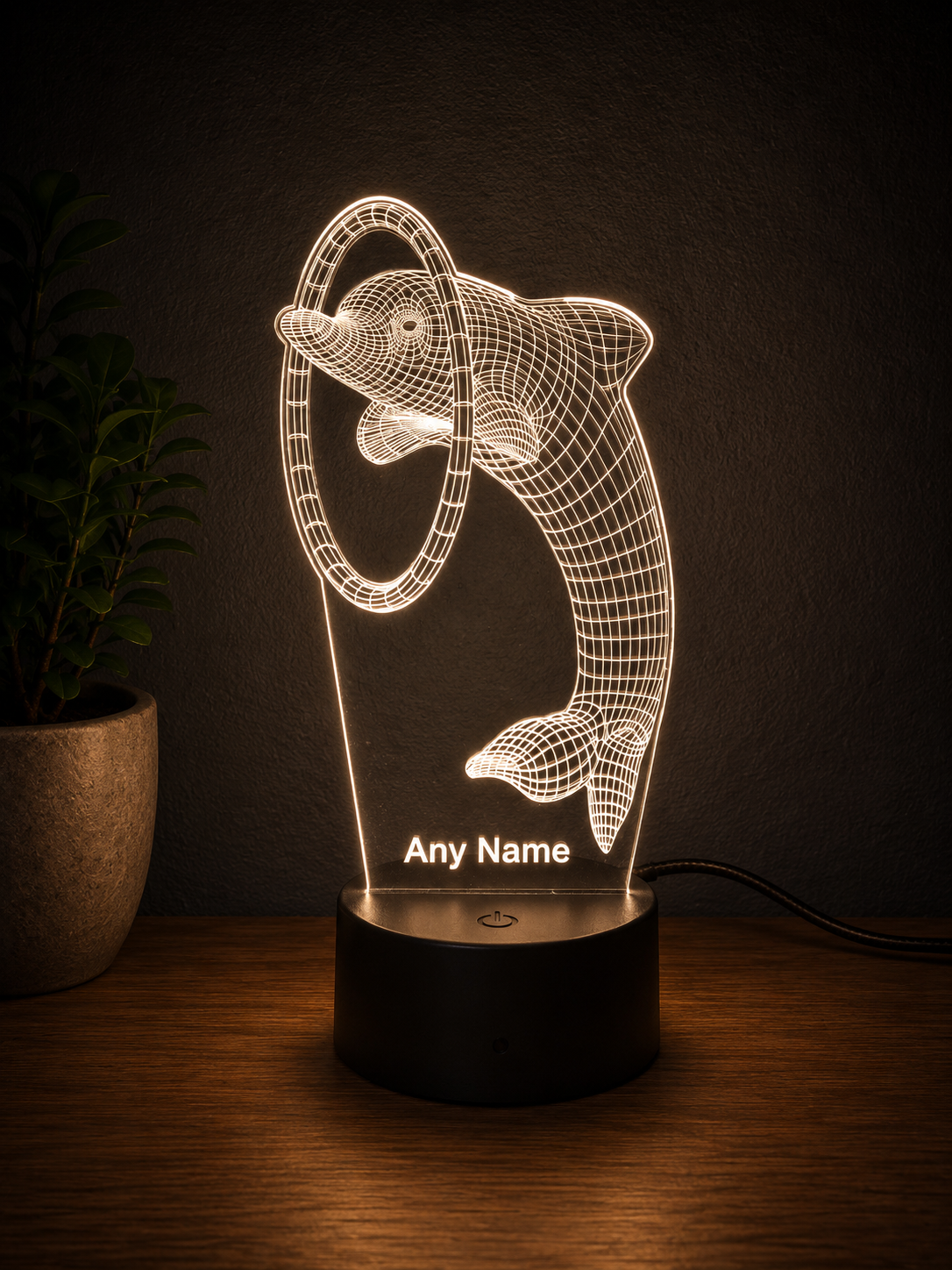 Personalised Dolphin Hoop 3D LED Night Light