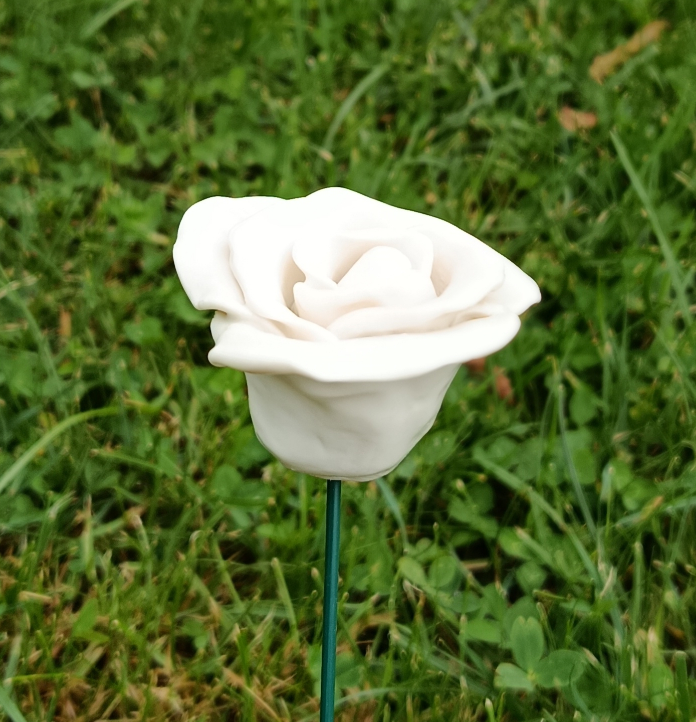 Rose en porcelaine blanche