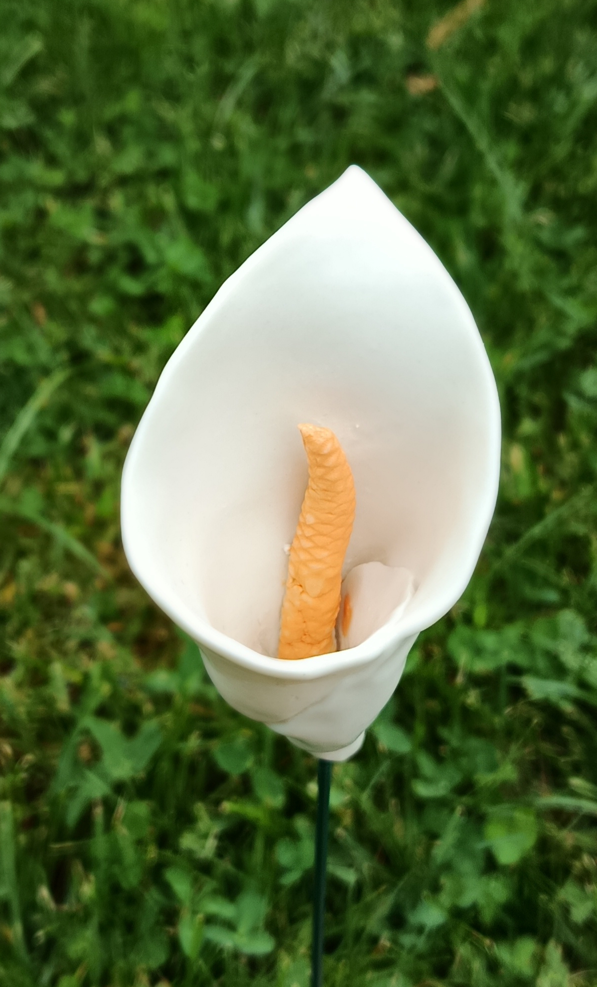 Arum en porcelaine