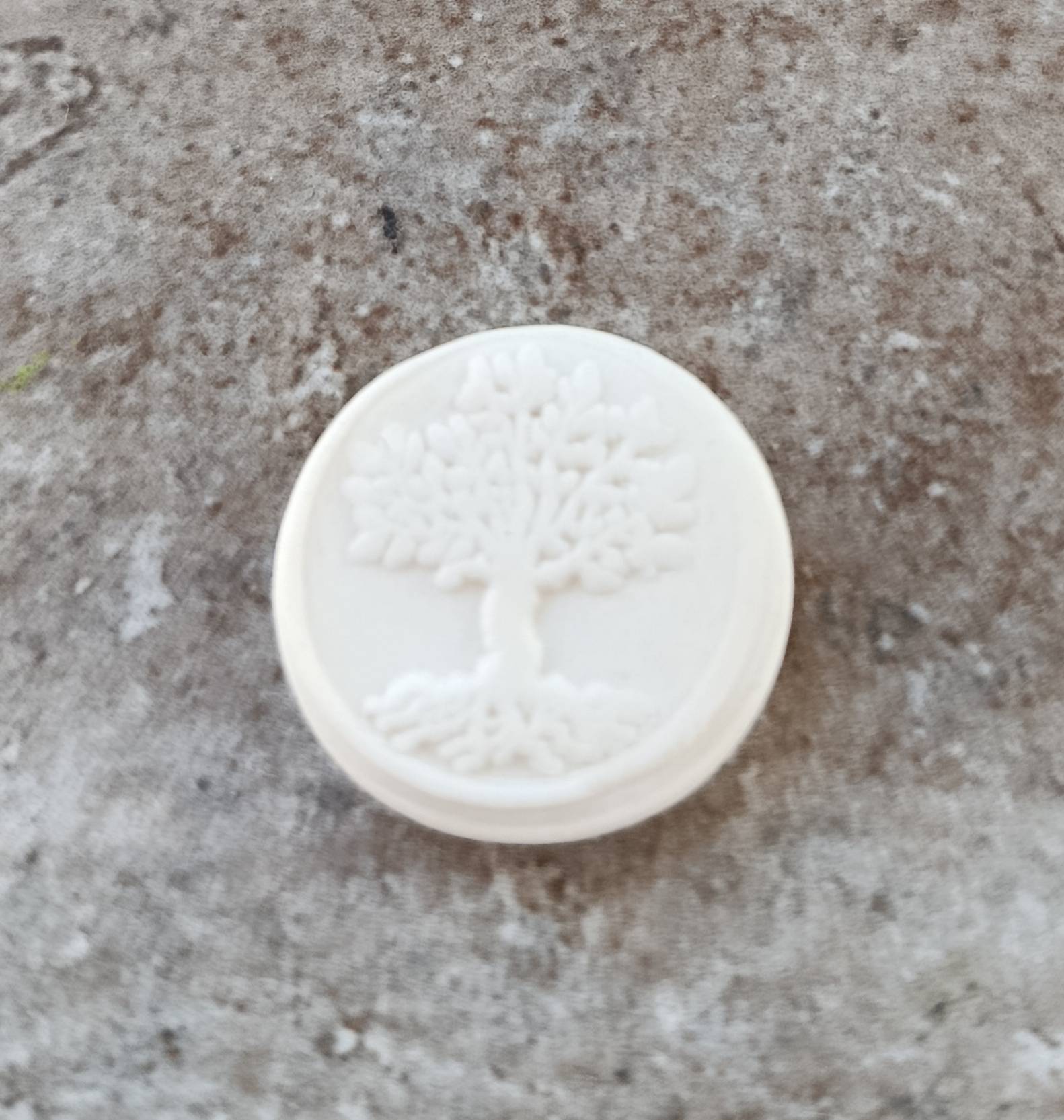 Coffret de 4 fèves arbre de vie