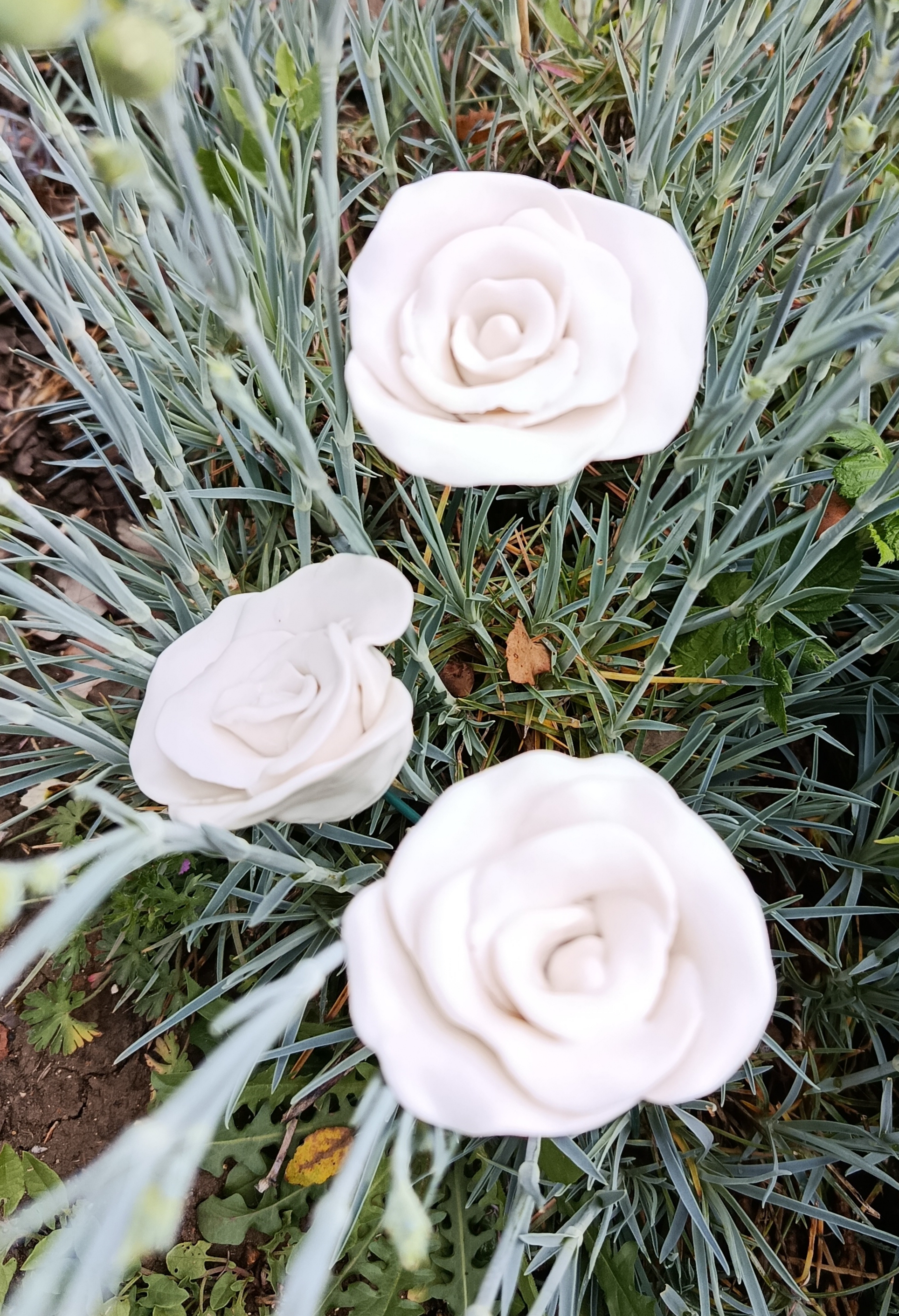 Rose en porcelaine blanche