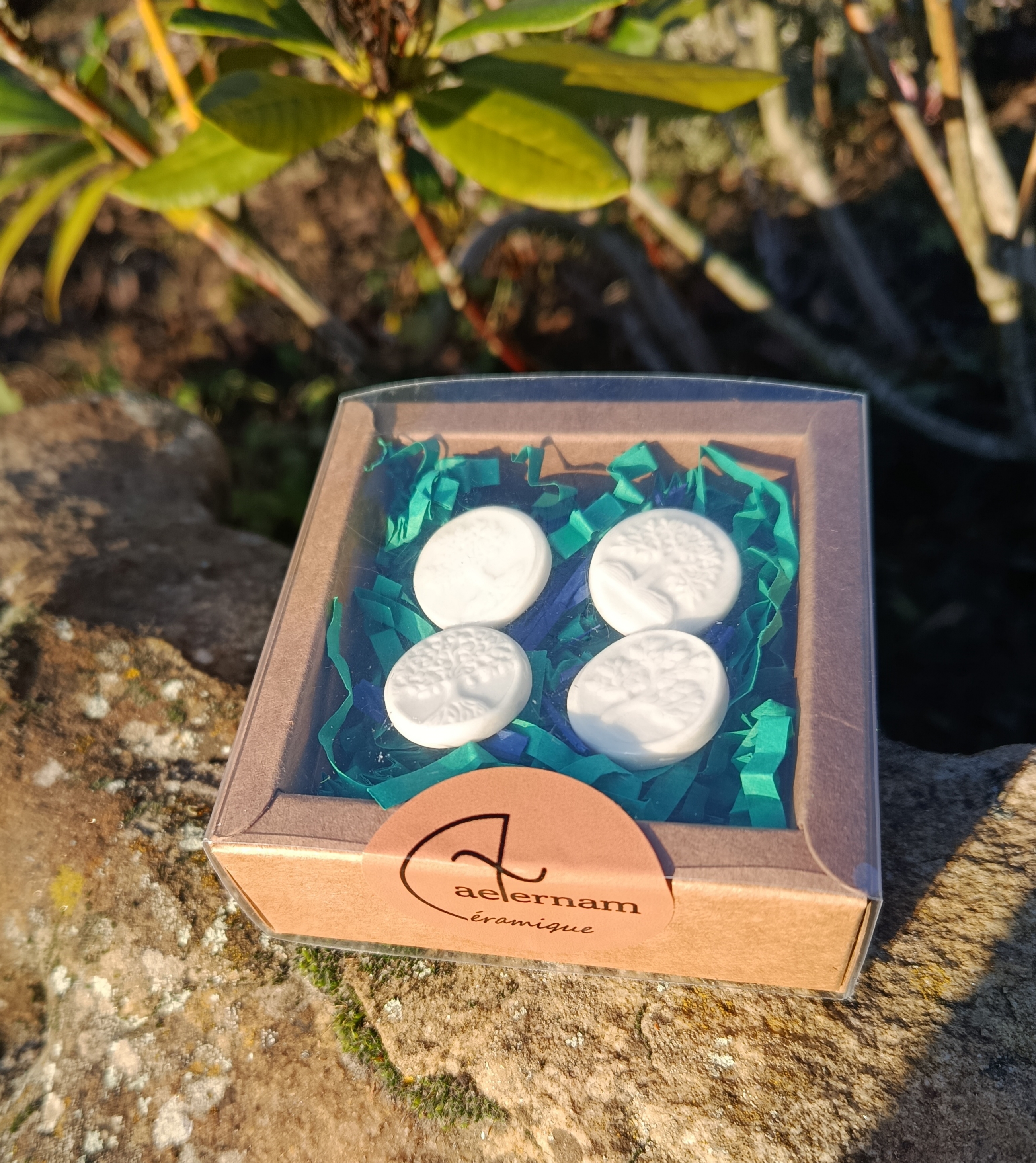 Coffret de 4 fèves arbre de vie