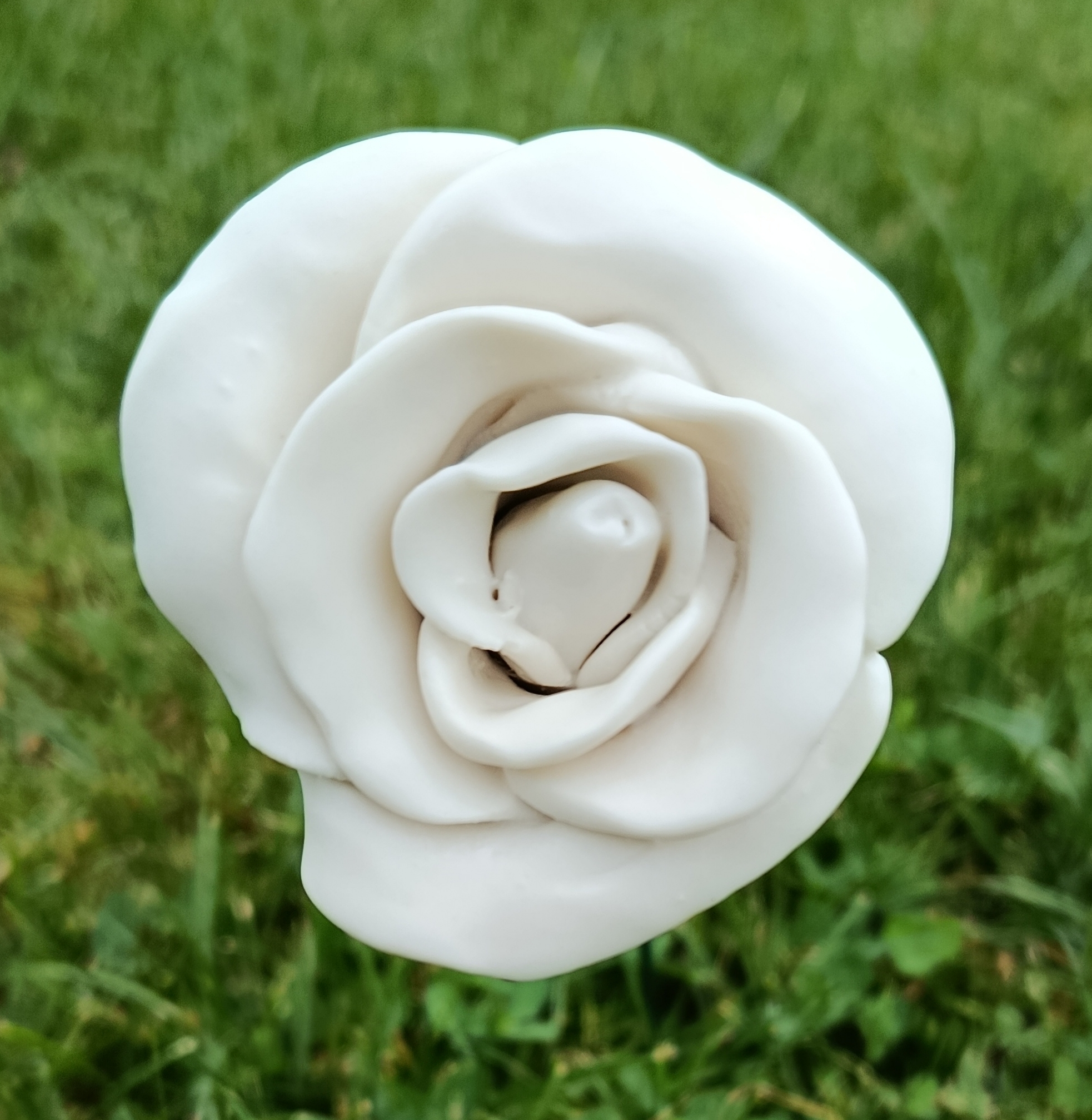 Rose en porcelaine blanche