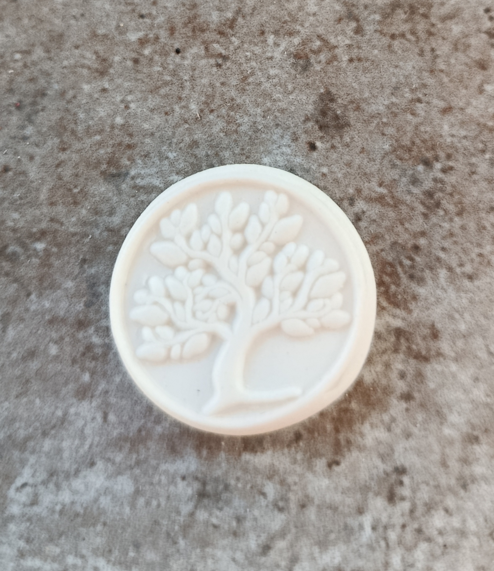 Coffret de 4 fèves arbre de vie