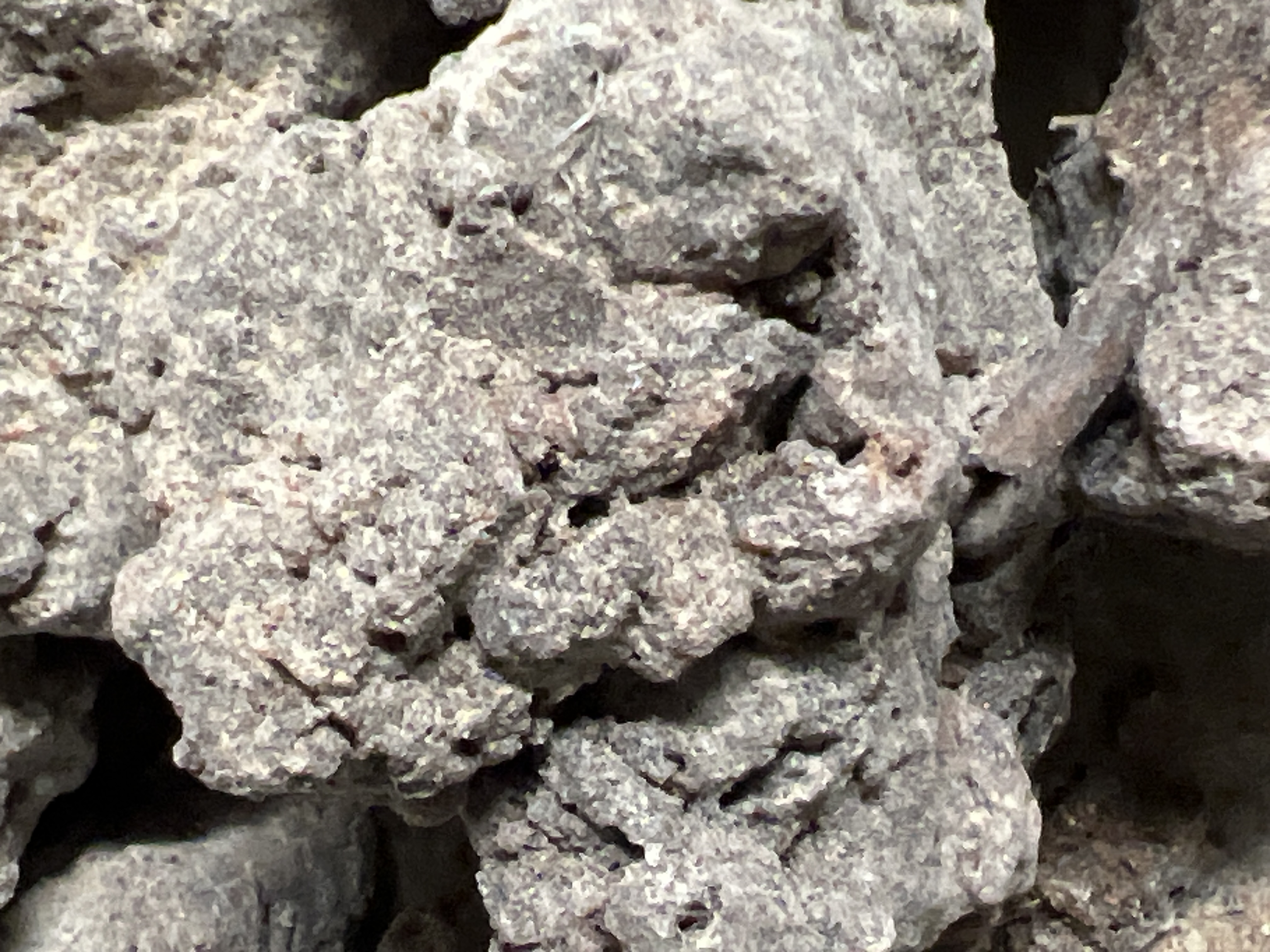 Ancient Frankincense 