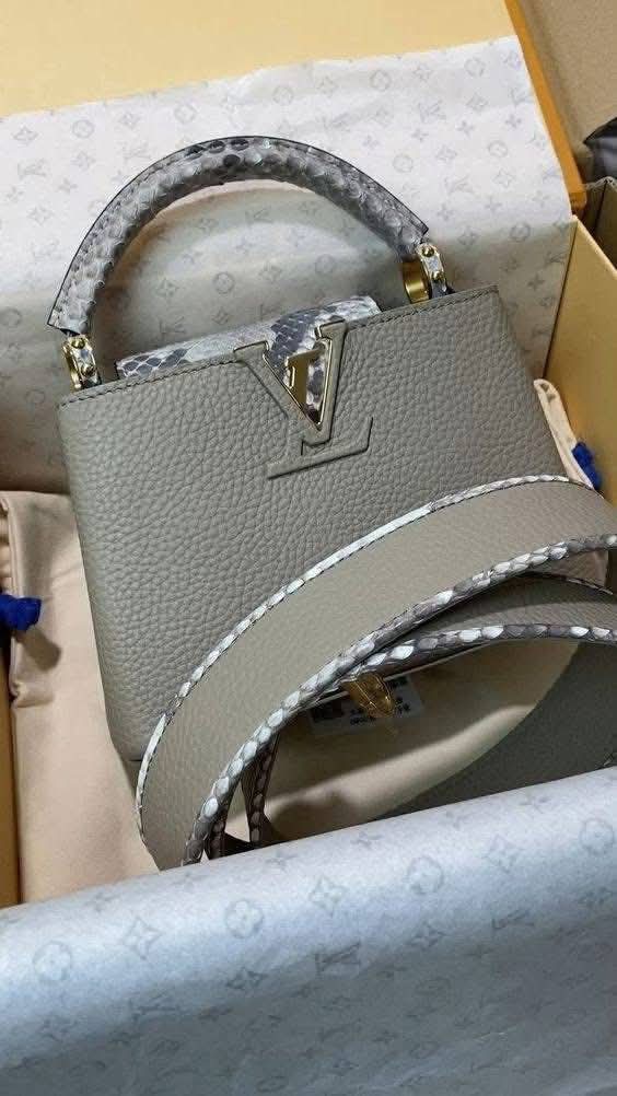 Louis Vuitton Handbags