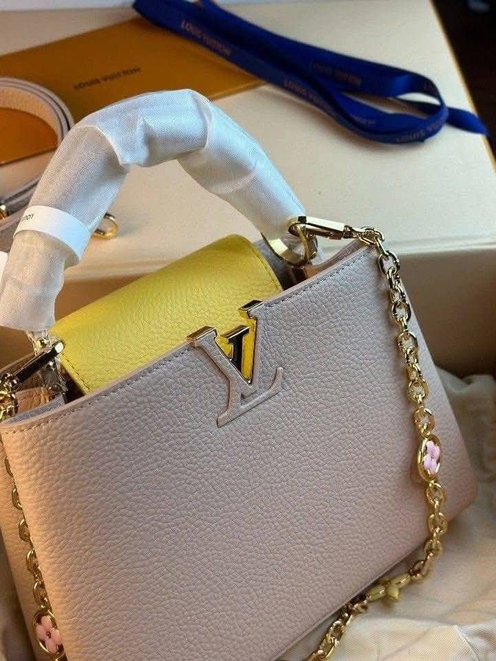 Louis Vuitton Handbags